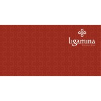 Ligamina Inc logo - Similar company to Munus