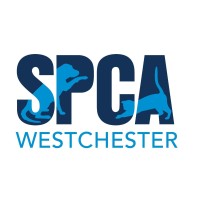 SPCA Westchester logo - Similar company to Blue Stream Environmental
