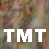 TMT Tring Ltd