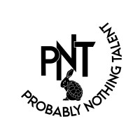 Probably Nothing Talent logo - Similar company to Arate Recruiting