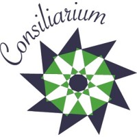 Consiliarium Group, LLC logo - Similar company to Project 91