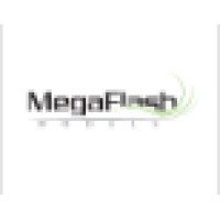 Megaflash Models Formerly Known As Hair Models Global