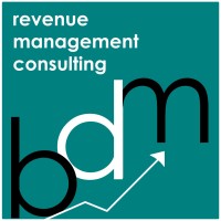 BDM Revenue Management Consulting logo - Similar company to Global Change Solutions