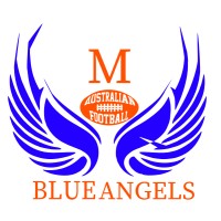 Blue Angels Montpellier logo - Similar company to Fncpc