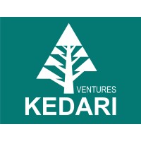 Kedari Ventures logo - Similar company to Fly.Ge