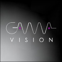 GAMMA Vision logo - Similar company to Estudio Raíces S.L.