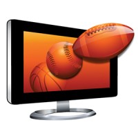 Fantasy Sports Services