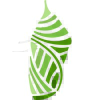 Metamorphe Civil Limited logo - Similar company to Ccpt