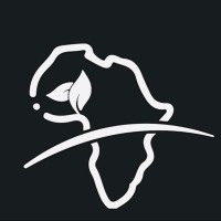 The Development School Africa logo - Similar company to Afmstories