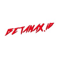 BETAMAX.id logo - Similar company to Wize Networks