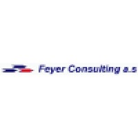 Feyer Consulting As