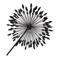 Bloomstruck logo - Similar company to Harvest Integrated