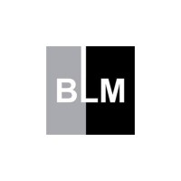 Brickell Luxury Motors logo - Similar company to Brickell  Buick Gmc