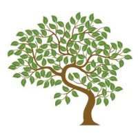 Instituto Esmindfulness logo - Similar company to Icloby