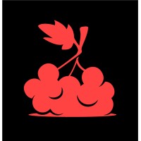Red Viburnum Studio logo - Similar company to Psv Game Studio