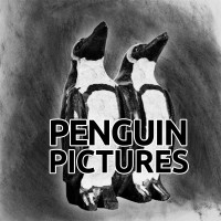 Penguin Pictures logo - Similar company to Coleman Television
