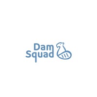Dam Squad logo - Similar company to Blue Bit Software