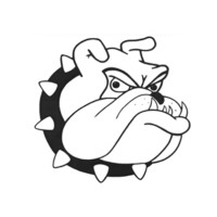 Bulldog Solutions Inc logo - Similar company to Theia Partners Inc