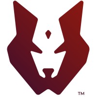 Wolf Wizard logo - Similar company to Design Dock