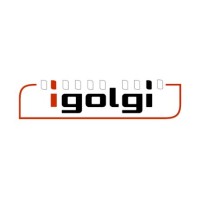 igolgi inc logo - Similar company to Bmv Tech™