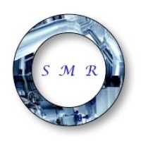 SMR di Magnoni Stefano logo - Similar company to Teknaline