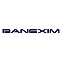 BANEXIM logo - Similar company to Stars Tech Solutions Inc