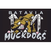 Batavia Muckdogs logo - Similar company to Peak Development Partners
