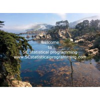 SC Statistical Programming logo - Similar company to All In Analytics Llc