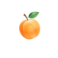Damascuss logo - Similar company to Qservus
