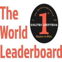 The World Leaderboard logo - Similar company to Expertx