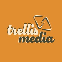 trellis media logo - Similar company to Digitalise Me