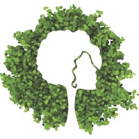 Rede Mulher Florestal logo - Similar company to Pecca/Ufpr Programa De Educação Continuada Em Ciências Agrárias