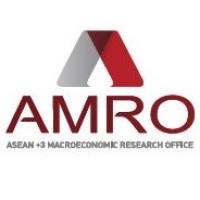 ASEAN+3 Macroeconomic Research Office logo - Similar company to Hong Kong Institute For Monetary And Financial Research (Hkimr)