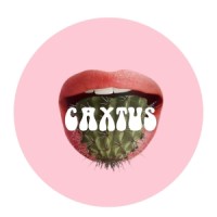 Caxtus Agency logo - Similar company to Brook