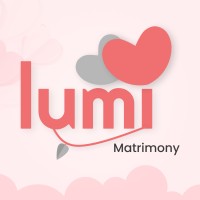 Lumi logo - Similar company to Fliptree Digital