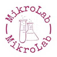 MikroLab Technical Equipment Trading & Engineering Consultancy Services Co. logo - Similar company to Dataphysics Instruments Türkiye