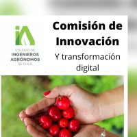 Comisión Innovación y Transformación Digital logo - Similar company to Proteam Consulting
