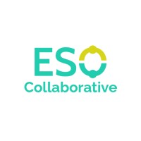 Enterprise Support Organisation Collaborative logo - Similar company to Aed Technology