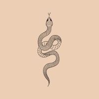 Surrender Sessions logo - Similar company to Effable | B Corp