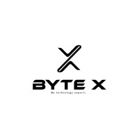 ByteX LB logo - Similar company to Bitx