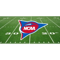 College Football logo - Similar company to Katundo Leather