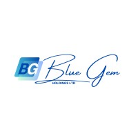 Blue Gem Holdings Ltd logo - Similar company to Project X