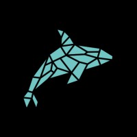 Orca Web Solutions logo - Similar company to Smartvorax