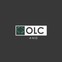 Agencia de Marketing Digital OLC logo - Similar company to Proligono