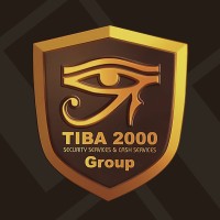 Tiba2000 Group logo - Similar company to Swnt