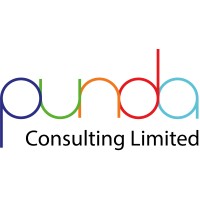 Punda Consulting logo - Similar company to Bright 7