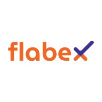 Flabex logo - Similar company to Jet Digital