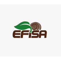 EFISA logo - Similar company to Tecnoforesta S.A