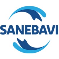 Sanebavi logo - Similar company to Netdiesel