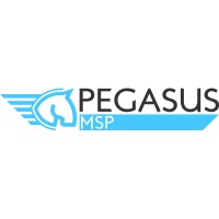 PEGASUS MSP SRL logo - Similar company to Gpv Solutions S.R.L.